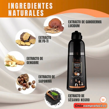 Shampoo Arabe Cubre Canas REJUVEHAIR™